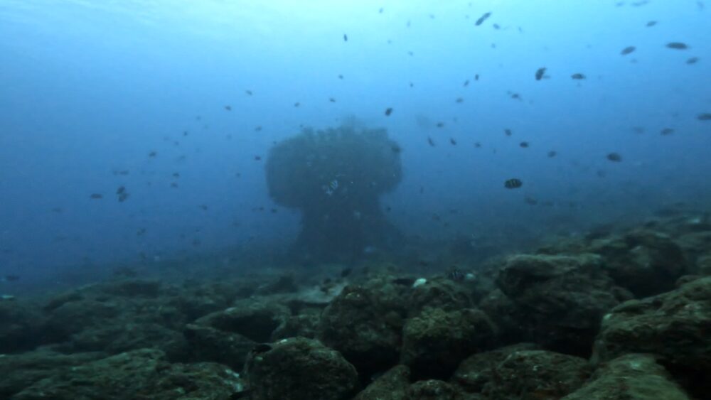 北谷浄水場排水口