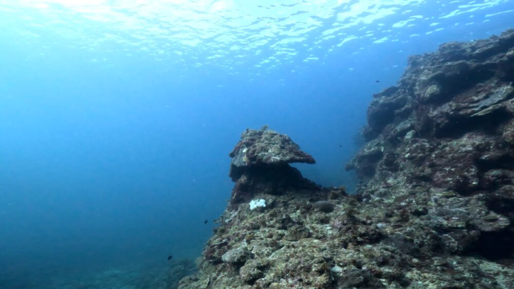 ウクノ浜